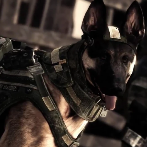 Ruger as Riley - Call of Duty: Ghosts